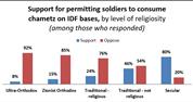 54% Israelis: IDF soldiers have right to eat chametz
