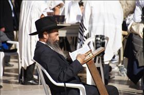 Ultra-Orthodox Jew at Western Wall, source: tdjgordon (pixabay.com)